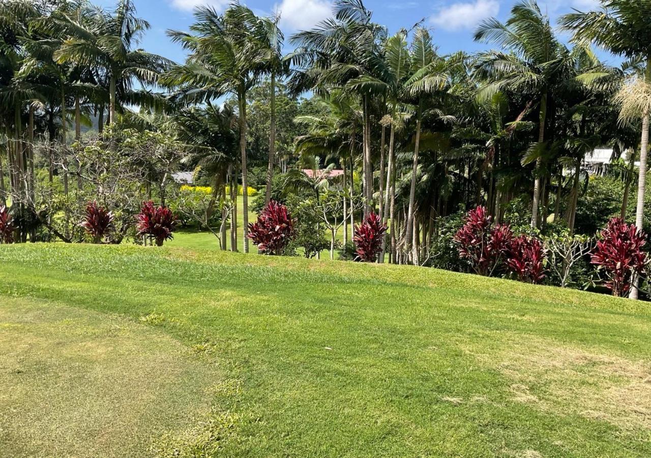 Sunshine Coast Retreat Your Own Private Golf Course Diddillibah Esterno foto
