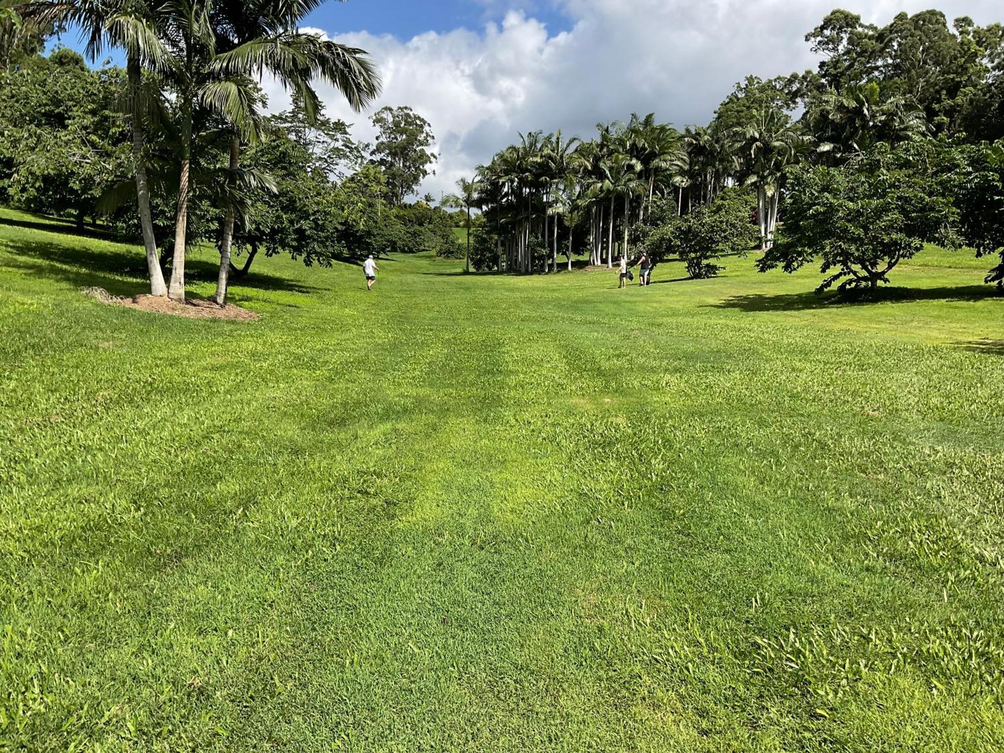 Sunshine Coast Retreat Your Own Private Golf Course Diddillibah Esterno foto