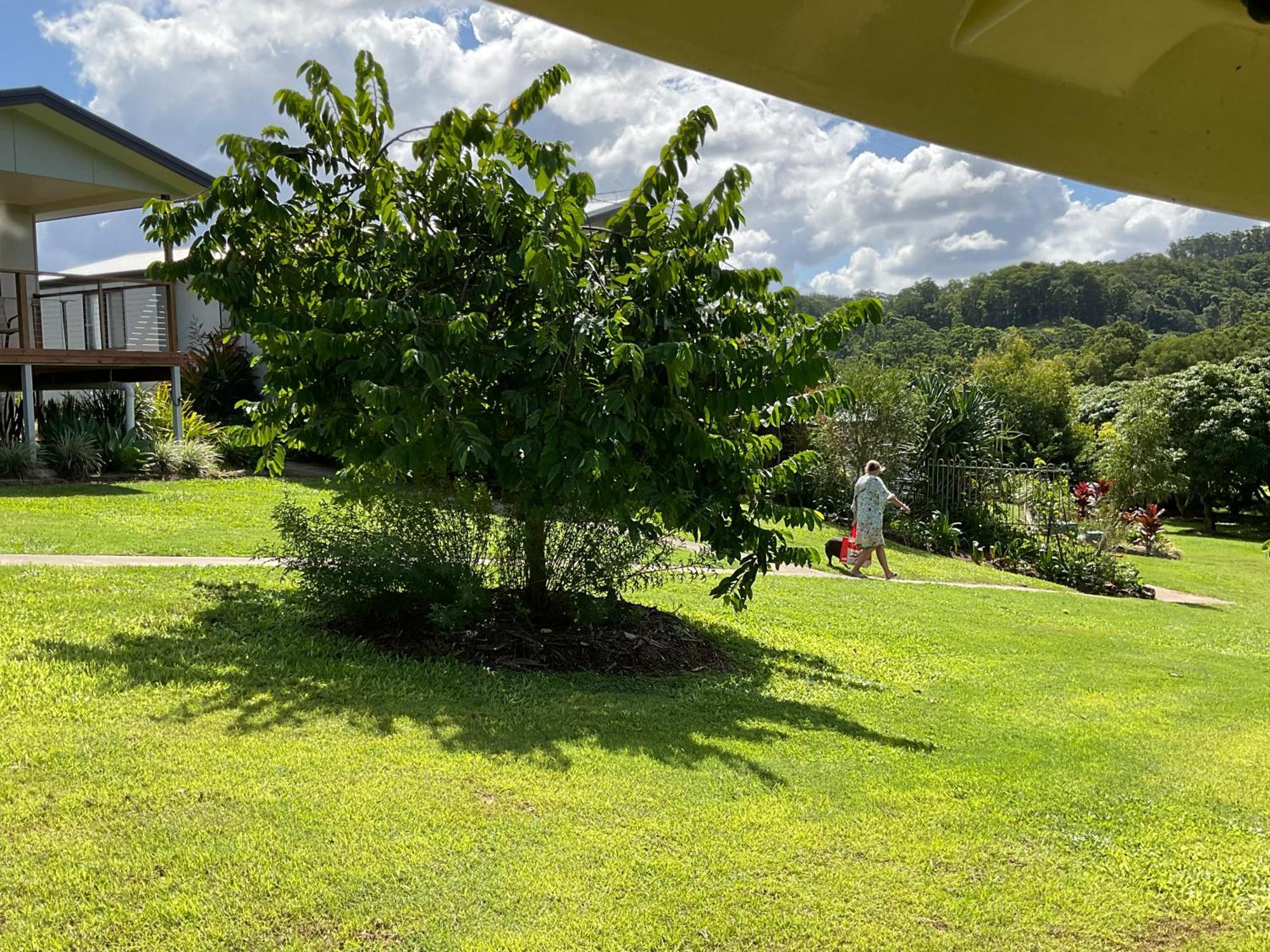 Sunshine Coast Retreat Your Own Private Golf Course Diddillibah Esterno foto